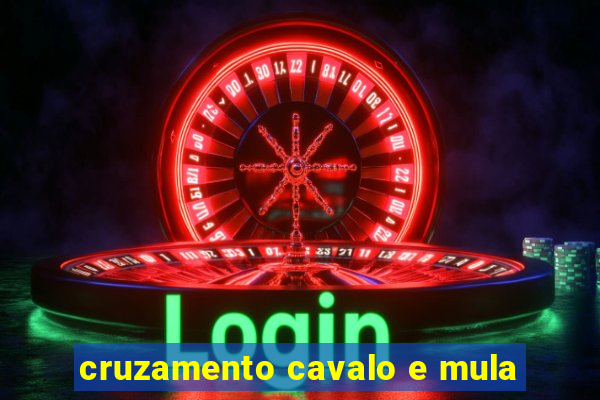 cruzamento cavalo e mula